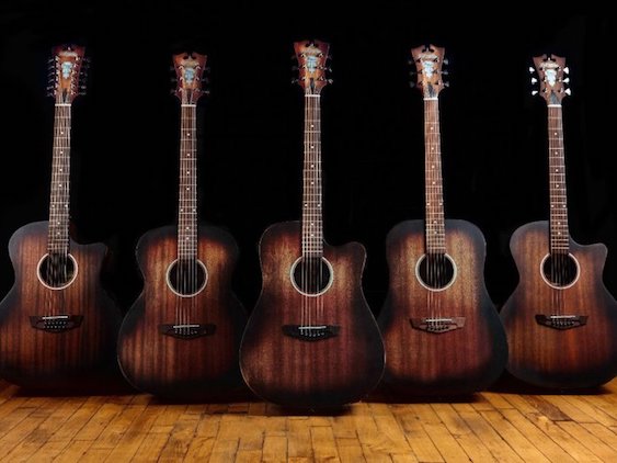 D'Angelico Acoustic Guitars